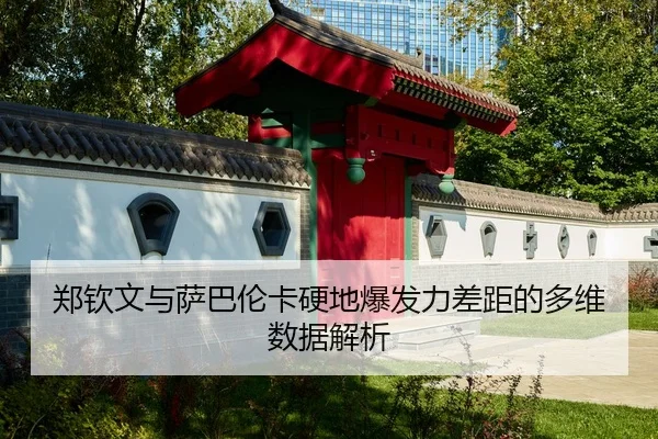 郑钦文与萨巴伦卡硬地爆发力差距的多维数据解析