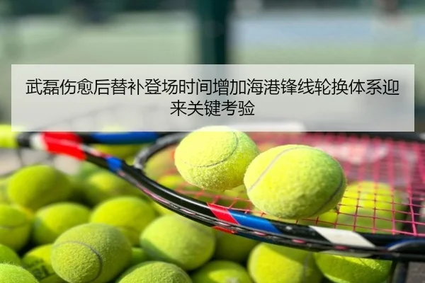 武磊伤愈后替补登场时间增加海港锋线轮换体系迎来关键考验