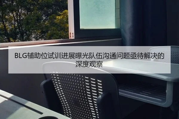 BLG辅助位试训进展曝光队伍沟通问题亟待解决的深度观察